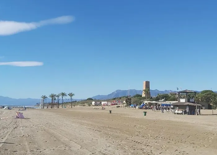 Beautiful Frontline *