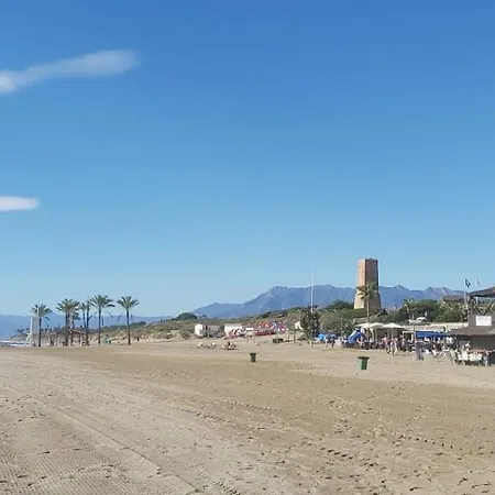 Beautiful Frontline *